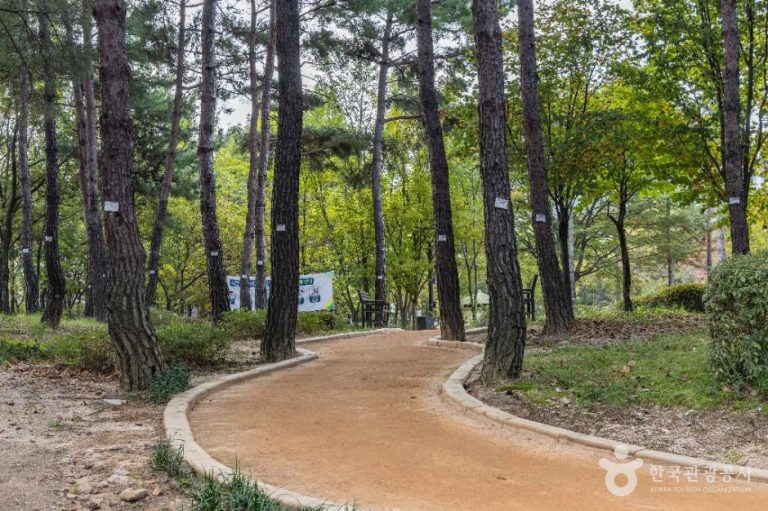 [서울] 서울창포원