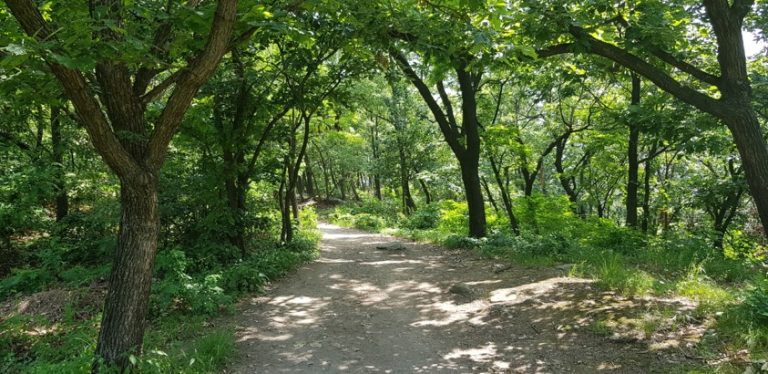 [서울] 호암산성