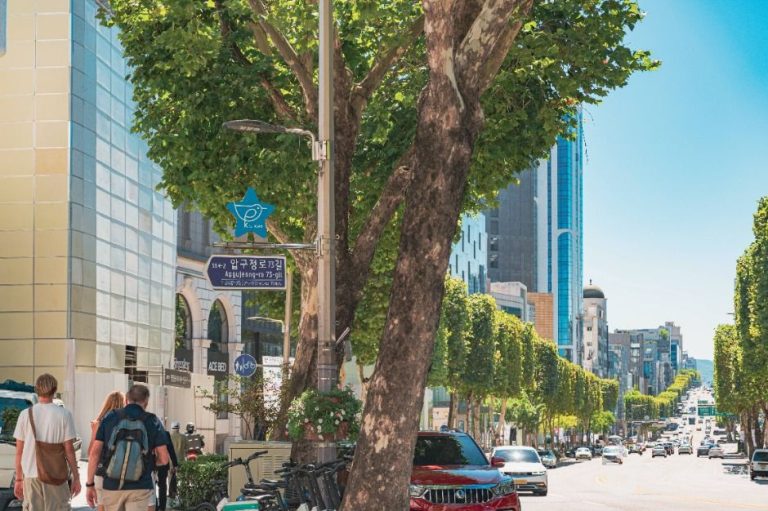 [서울] 케이스타로드(KstarROAD)