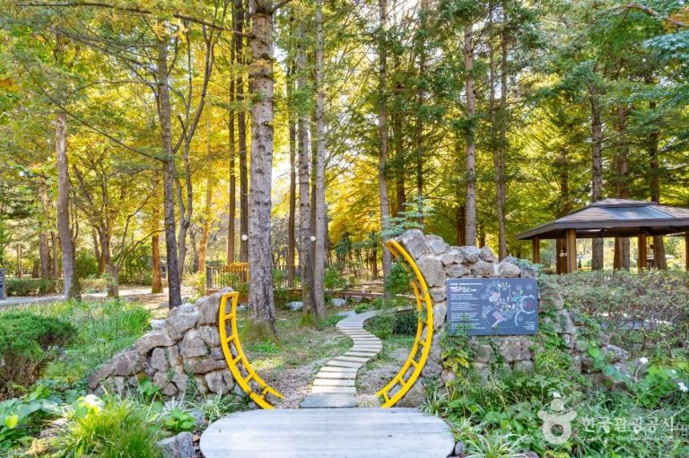 [서울] 매헌시민의 숲