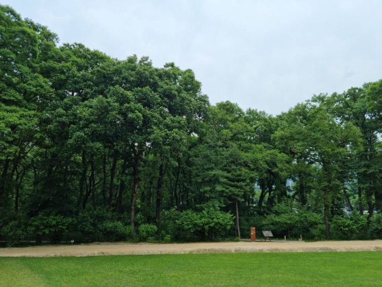 [서울] 헌인릉 생태경관보전지역(오리나무림)