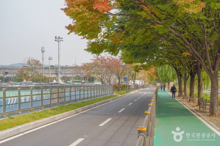 [서울] 살곶이체육공원