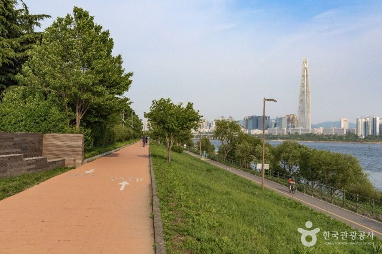 [서울] 뚝섬한강공원