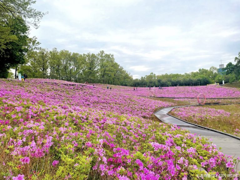 [서울] 불암산나비정원