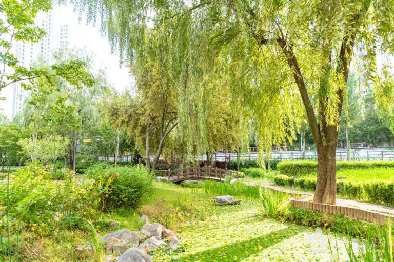 [서울] 개봉유수지 생태공원