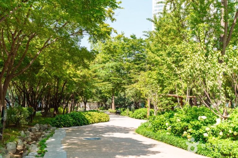 [서울] 거리공원