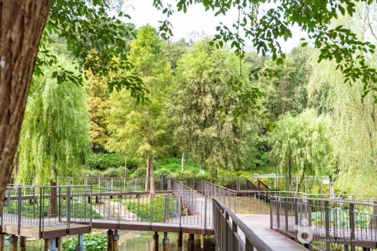 [서울] 온수도시자연공원(잣절공원)