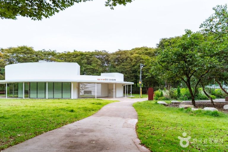 [서울] 신트리공원(서울)