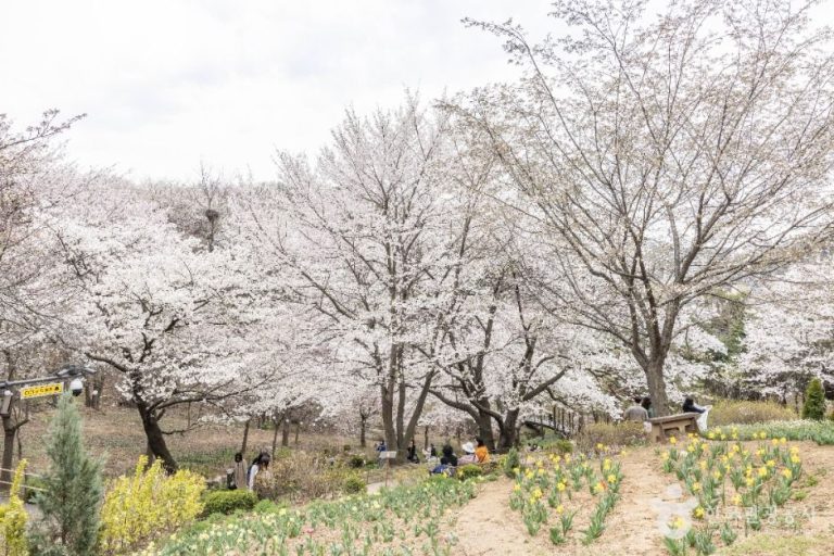 [서울] 연희숲속쉼터