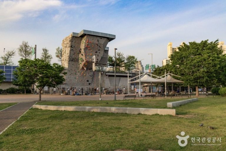[서울] 뚝섬한강공원 벽천마당