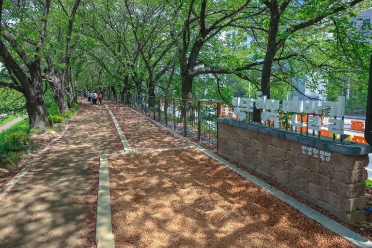 [서울] [서울둘레길 14코스] 안양천 하류코스