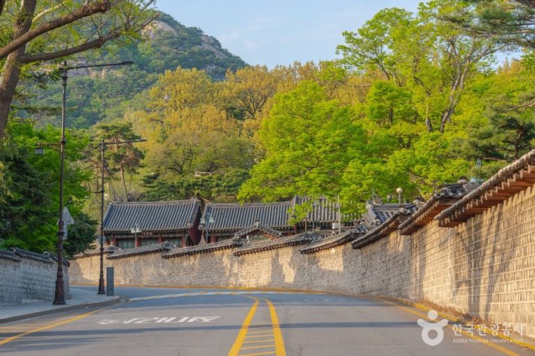 [서울] 청와대 앞길