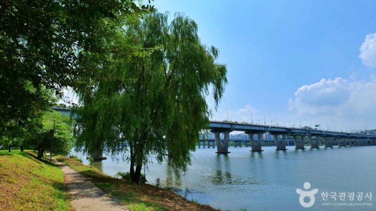 [서울] 광나루한강공원