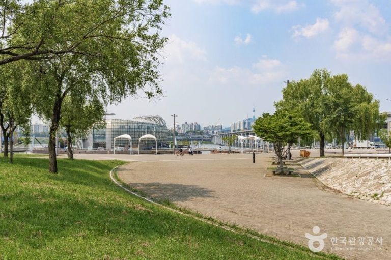 [서울] 반포한강공원 달빛광장