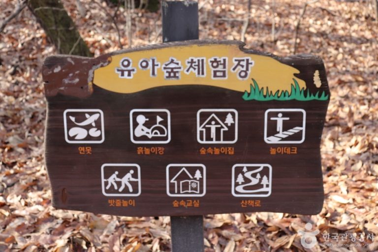 [서울] 오동근린공원 유아숲체험장