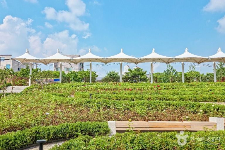 [서울] 금빛공원