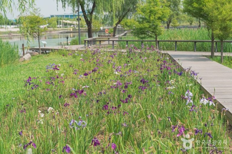 [서울] 서울식물원 호수공원