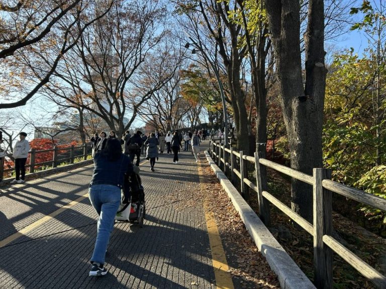 [서울] 남산순환나들길