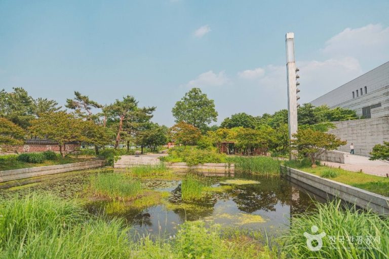 [서울] 국립중앙박물관 전통염료식물원