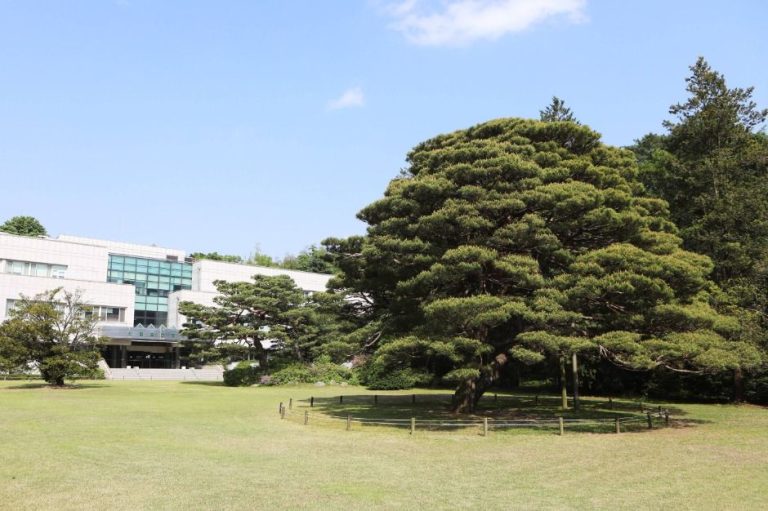 [서울] 홍릉시험림(홍릉숲)