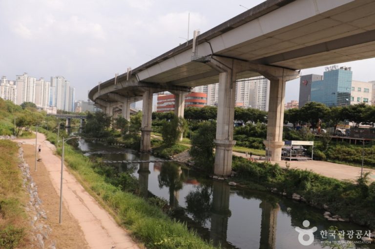[서울] 청계8경 버들습지