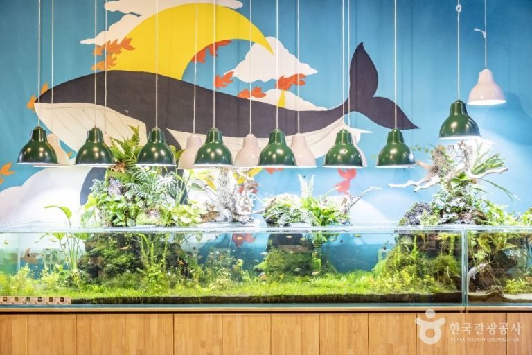 [서울] 헬로애니멀