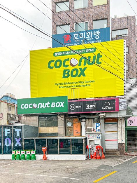 [서울] 코코넛박스