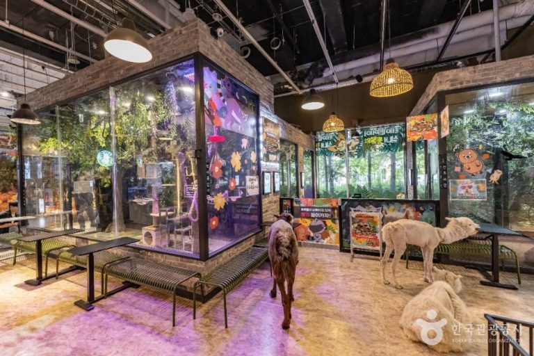 [인천] 테이블에이 앤 로우캣