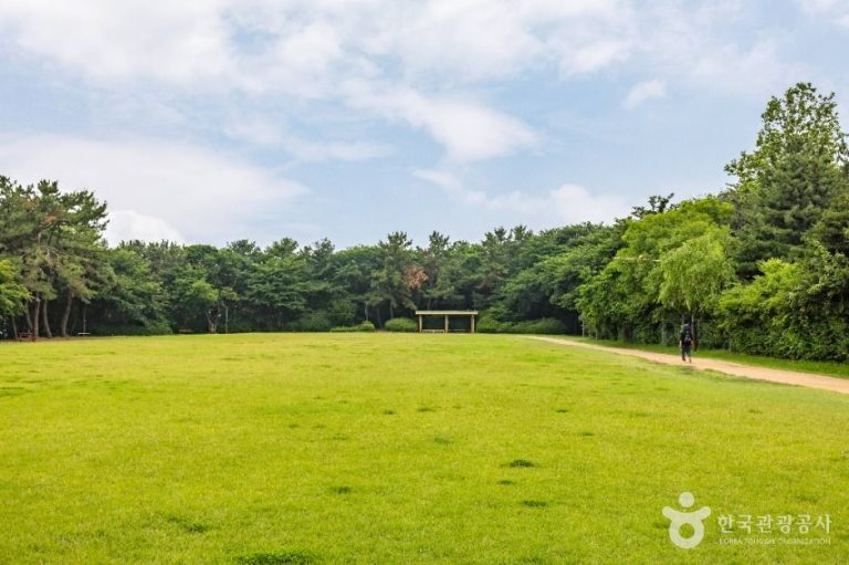 [인천] 대학공원