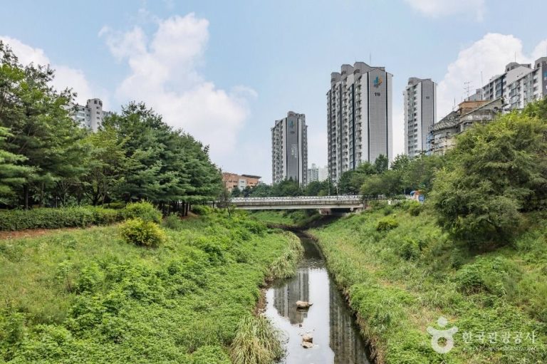 [인천] 굴포천 생태하천