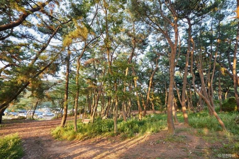 [인천] 호룡곡산