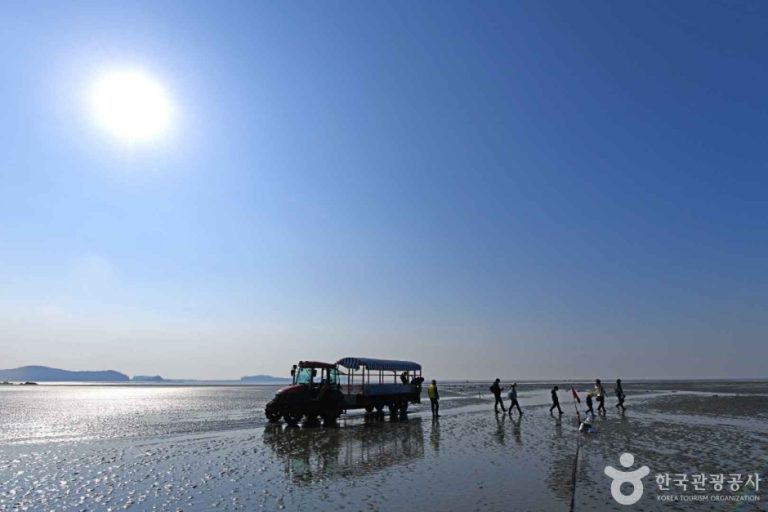 [인천] 선재도(선재도 어촌체험마을)