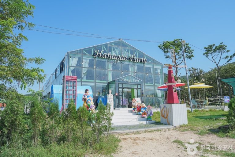 [인천] 하나개팜