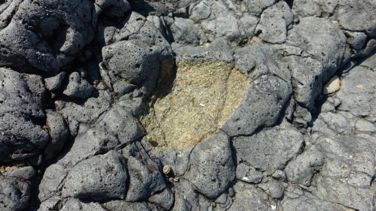 [인천] 진촌리 현무암