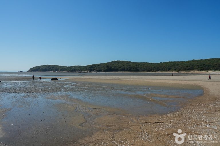 [인천] 큰무리어촌체험마을