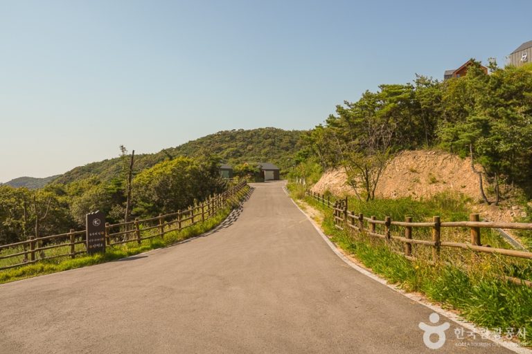 [인천] 국립무의도자연휴양림