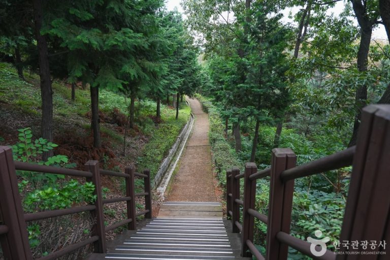 [인천] 계양산 산림욕장