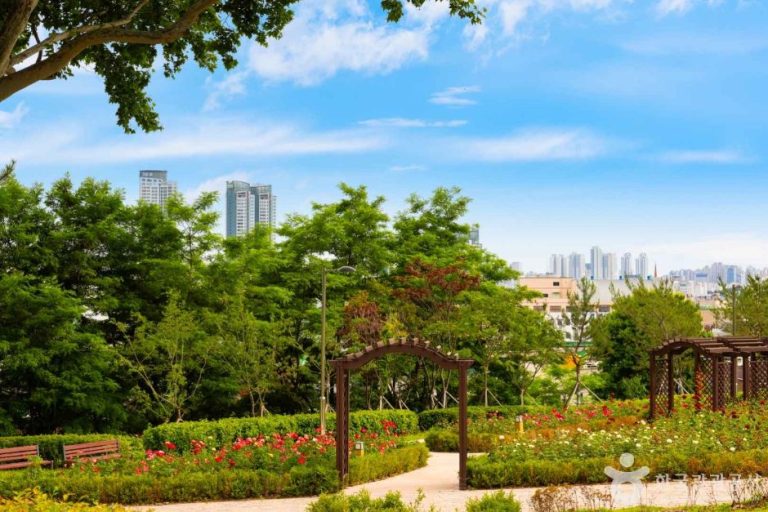 [인천] 함박마을