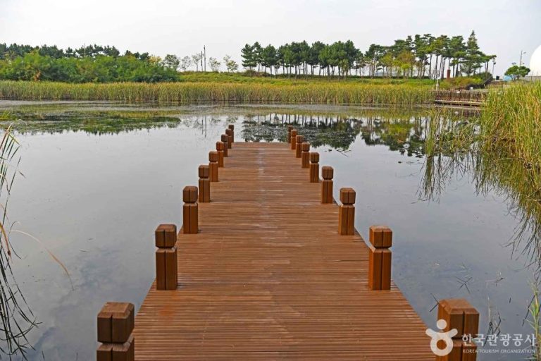 [인천] 아라빛섬