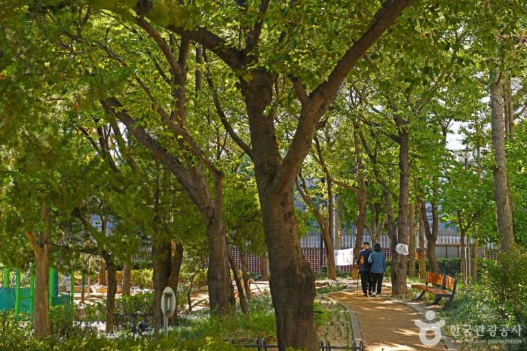 [인천] 효성공원