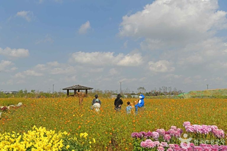 [인천] 계양꽃마루