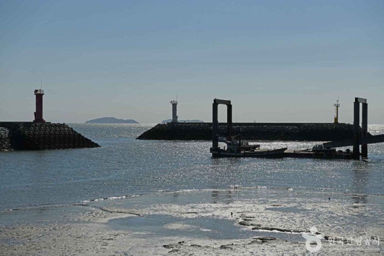 [인천] 어류정항