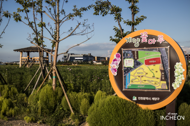 [인천] 서운체육공원