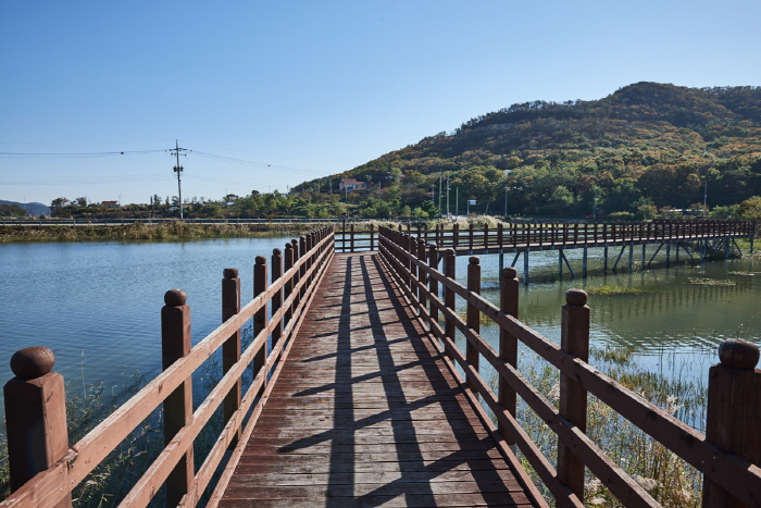 [인천] 인천 푸른벗말