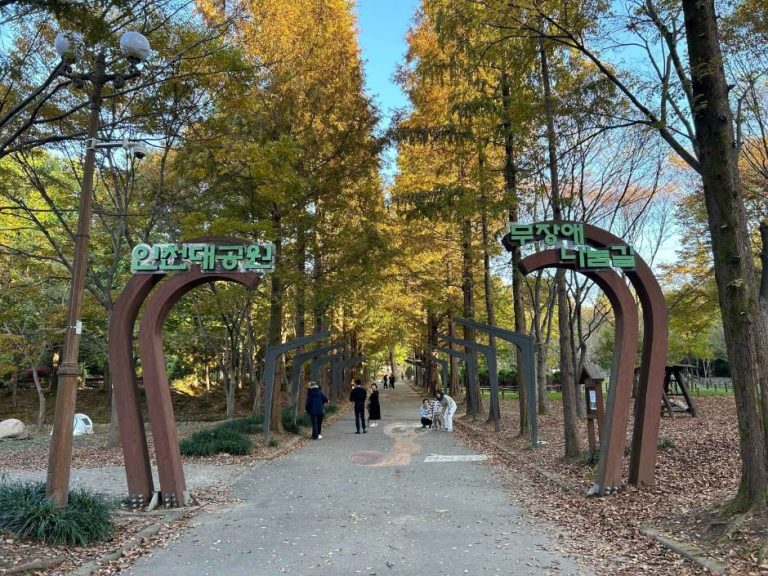 [인천] 인천대공원 치유숲길