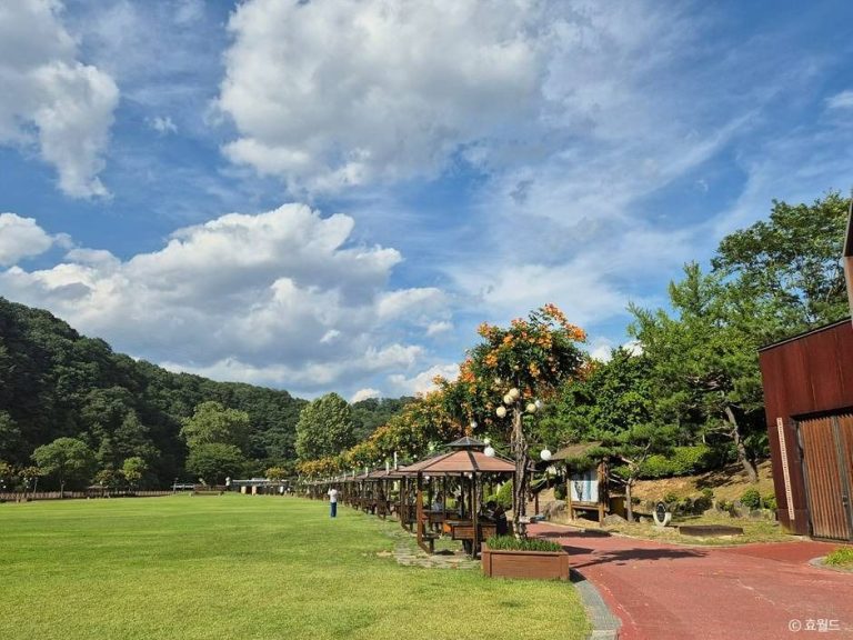 [대전] 뿌리공원