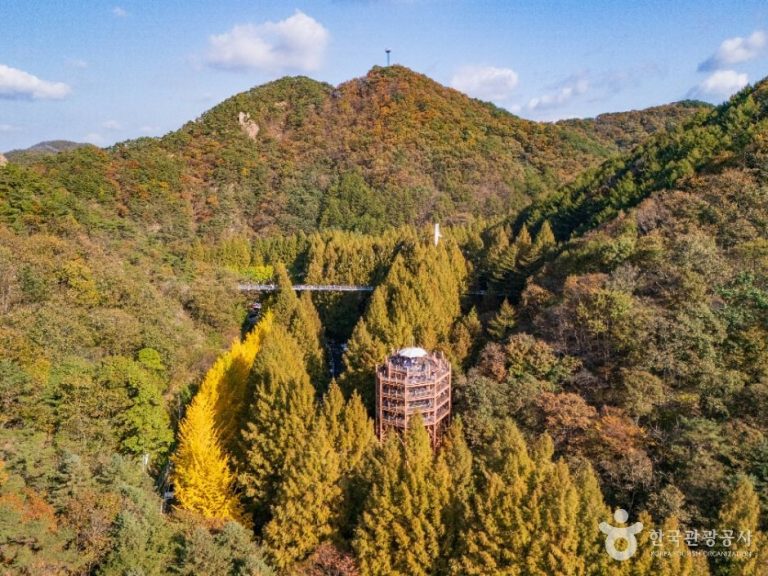 [대전] 장태산자연휴양림