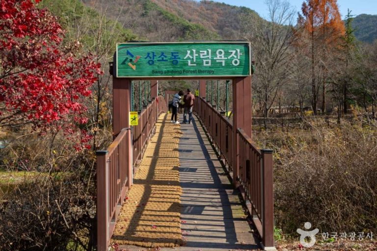 [대전] 상소동 산림욕장