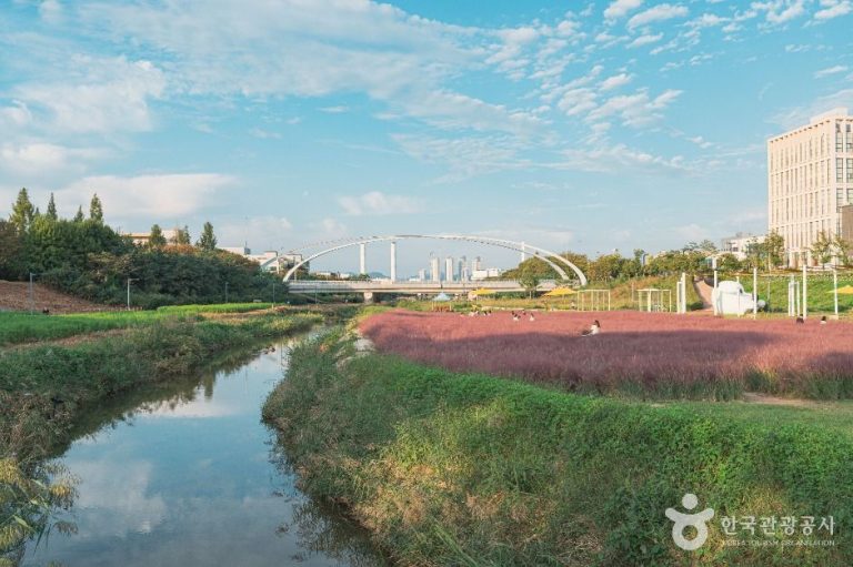 [대전] 동화울수변공원