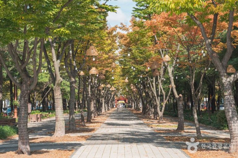 [대전] 보라매공원(대전)